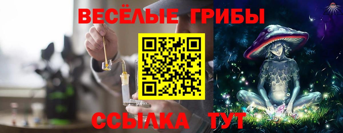 Богданович  Галлюциногенные грибы ЛСД  Псилоцибиновые грибы Cubensis  Вход с VPN 